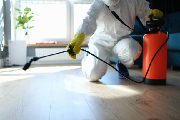 Reliable Biohazard Cleanup contractor in Jamestown, CA by Trauma Clean Pros